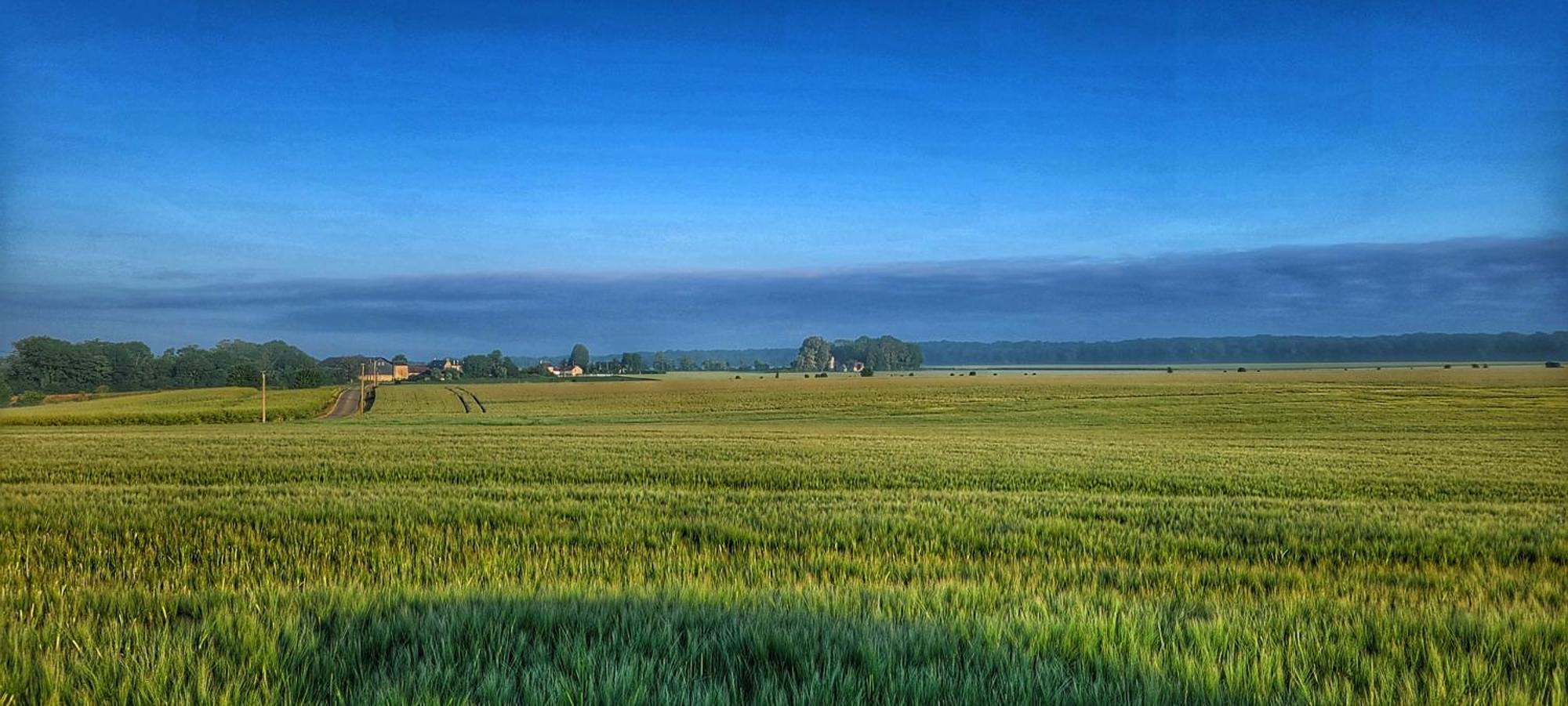 Gite Du Grand Frene Orrouy 外观 照片